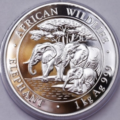 Серебряная монета 2000 шиллингов Слоны Сомали 1 кг 2013 г. Ag 999